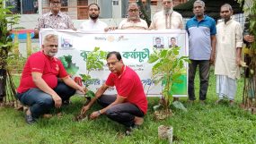 রোটারী ক্লাব অব সিলেট সেন্ট্রাল এর উদ্যোগে বৃক্ষরোপন কর্মসূচি পালিত; গাছ লাগালে হবে না, গাছের যথার্থ যত্ন নেয়া প্রয়োজন