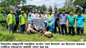 আল-ইনসাফ সেচ্ছাসেবী সংগঠনের বৃক্ষরোপণ কর্মসূচি পালন