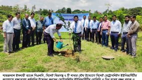 শাহজালাল ইসলামী ব্যাংকের বৃক্ষরোপণ কর্মসূচি