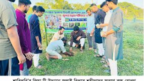 শাবিপ্রবি’র জিয়া ট্রি উদ্যানে জুলাই বিপ্লবে শহীদদের স্মরণে বৃক্ষ রোপণ